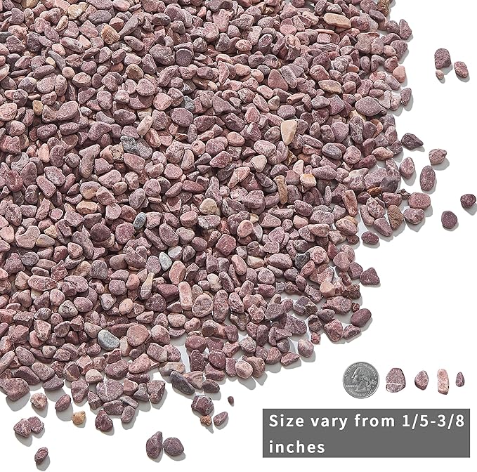 2lb Succulent and Cactus Gravel Pebbles 1/5-3/8 Inch Natural Decorative Polished Stones River Rocks for Plants, Vases, Aquariums, Terrarium and Outdoor Gardening, Rouge Red Color-PawvioPets