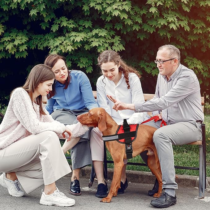 Dogline Dog Harness, Reflective No-Pull Adjustable Vest with Handle, Breathable No-Choke Harness for Small, Medium or Large Dogs Room for Patches Girth 22"-28" in Red-PawvioPets