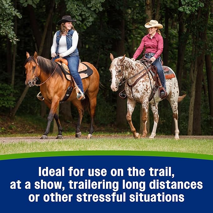 Farnam Apple Elite Electrolyte Paste Supplement for Horses, Replaces Vital Minerals, Encourages Hydration, No Added Sugar, 60 cc syringe-PawvioPets