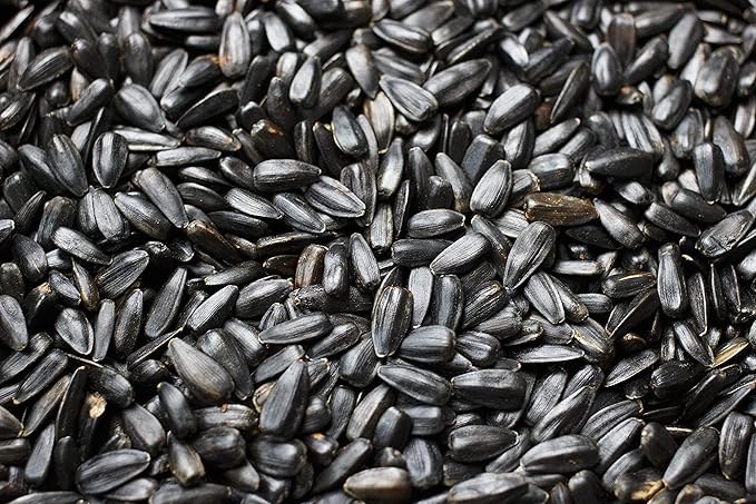 Flying Colors Premium Organic Wild Bird Seed | Black Oil Sunflower Seed | USDA Organic Ingredients | Best Seed for Backyard Bird Feeders | 3 Gallon Easy-Pour Carton-PawvioPets