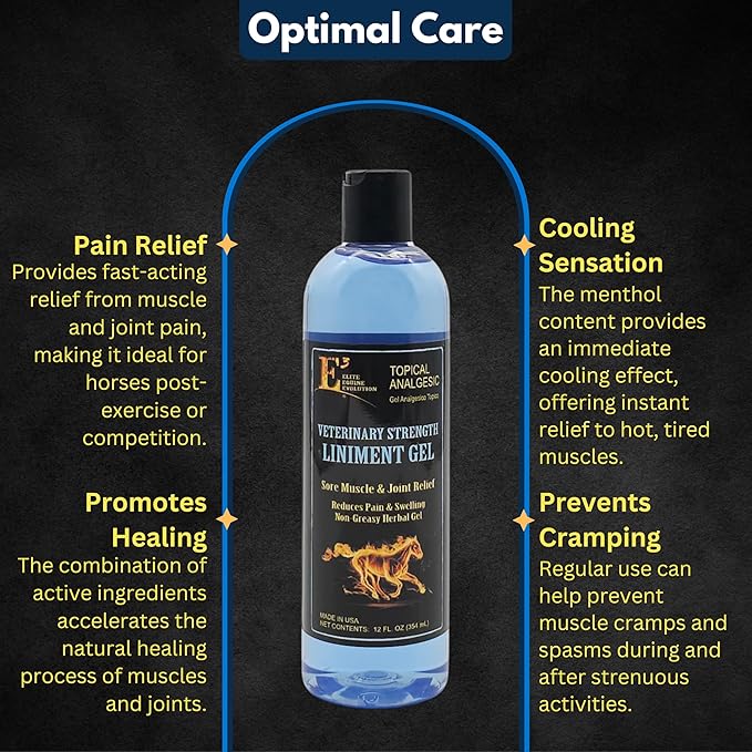 E3 Veterinary Strength Liniment Gel for Sore Muscle & Joint Relief - Reduces Pain & Swelling - Horse Liniment for Humans & Pets - Arthritis Aid - Non-Greasy Herbal Formula- Topical Analgesic-PawvioPets