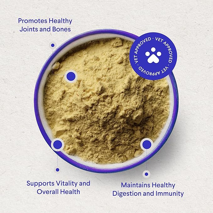 Bone Broth for Dogs – Bone Broth Powder with Organic Mushrooms & Collagen for Digestion, Immunity & Joint Support – Tasty Beef Supplement for Dogs of All Ages, Sizes & Breeds – 3.20 oz-PawvioPets