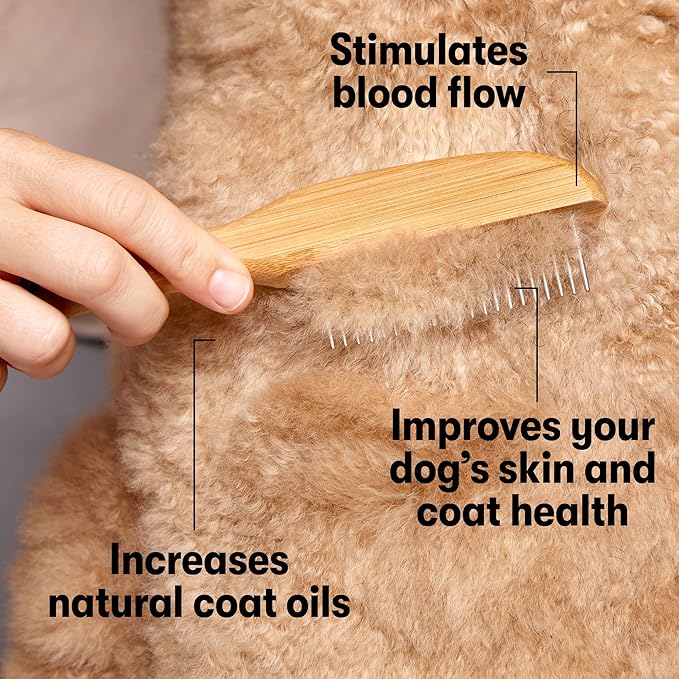 DOG by Dr Lisa - Comb - Detangling Dog Comb - Dematting Grooming Tool - Metal Combs Teeth Removes Knots and Tangles - Stimulate Blood Flow and Increase Natural Coat Oils - Made From Sustainable Bamboo-PawvioPets