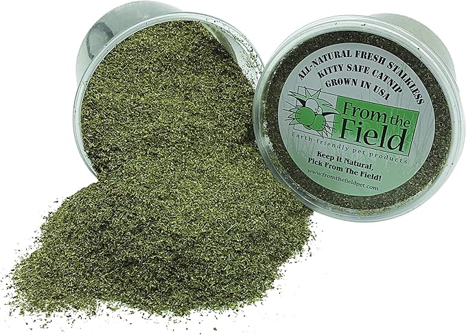 from The Field | Fine Ground Stalkless Catnip | Premium USA-Grown Catnip for Toys & Playtime | Fresh, Potent, Non-Toxic, Eco-Friendly | Safe for Kittens & Cats | Resealable 3.5 oz Tub-PawvioPets