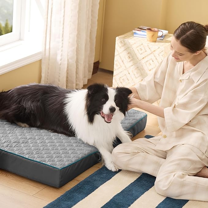 Bedsure Orthopedic Dog Bed Large Sized Dog - Memory Foam Pet Mattress with Removable Washable Cover and Egg Crate Foam, Thick Flat Suitable for Pet Up to 65 lbs, 36x27x3.5 Inches, Grey-PawvioPets