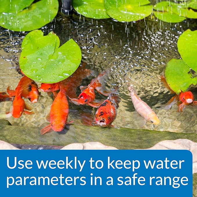 API POND MASTER TEST KIT Pond Water Test Kit 500-Test-PawvioPets