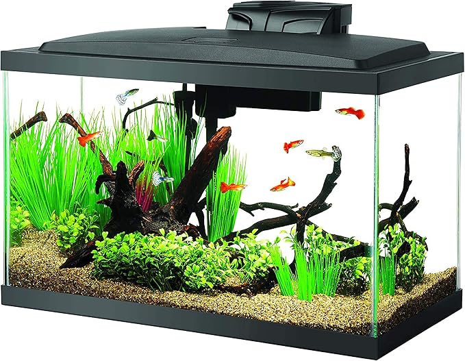 Aqueon Aquarium Fish Tank Starter Kit with LED Lighting 10 Gallon Fish Tank-PawvioPets