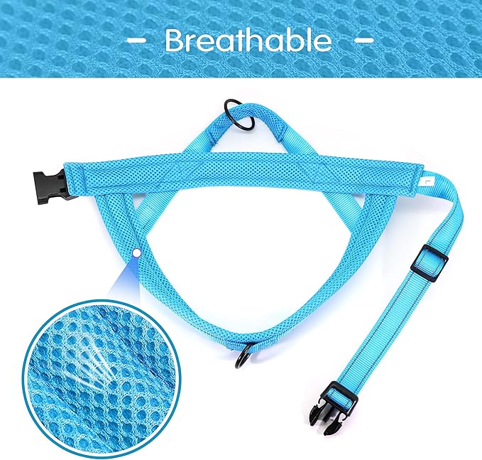 Didog No Pull Dog Harness with Soft Mesh Padded,Reflective & Quick Fit Light Weight Dog Strap Vest Harness,Easy for Walking Training (XS:Chest 15-18", Mesh-Blue)-PawvioPets