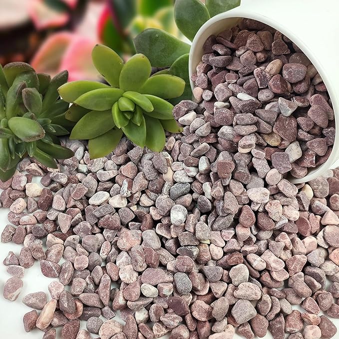 2 lbs Succulent and Cactus Pebbles Gravel, 3/8 Inch Decorative Red River Rocks for Plants Indoor, Vases, Terrarium, Potted Top Dressing and Outdoor Decorative Stones-PawvioPets