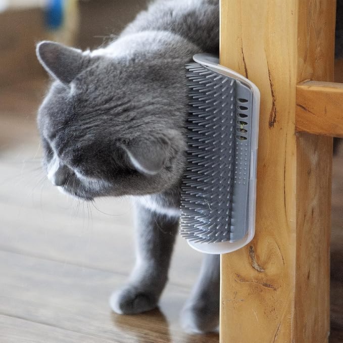 Extended (6.1") 2 Pack Self Grooming Cat Brush - Wall Corner Scratcher with Massage Combs for Long and Short Fur Cats, Kittens (Grey)-PawvioPets