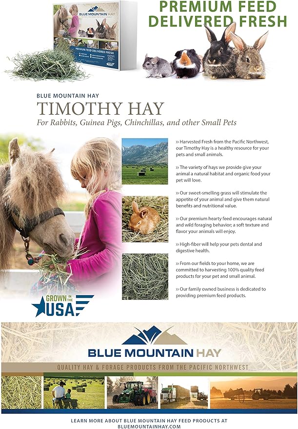 Blue Mountain Hay | Fresh Timothy Hay (5 Pounds) | Great for All Ages | High-Altitude Hay Pet Food for Rabbits, Guinea Pigs, Chinchillas, Hamsters, and Other Small Pets-PawvioPets
