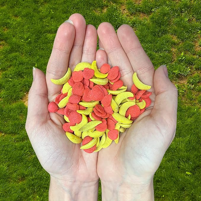 Crunchez Apple and Banana - Crunchy Fruit Flavored Treat Bites - Sugar Gliders, Squirrels, Marmosets, Prairie Dogs, Hamsters, Chinchillas, Exotic Birds, Rabbits, Guinea Pigs, Degus, Small Pets-PawvioPets