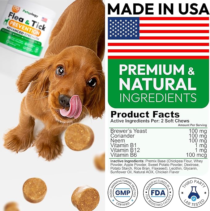 Flea and Tick Prevention for Dogs Pills - Natural Dog Flea & Tick Control - 170 Soft Chewables - Oral Defense Treatment for Dogs Supplement - Vet Formulated Chews - All Breeds & Ages - Made in USA-PawvioPets