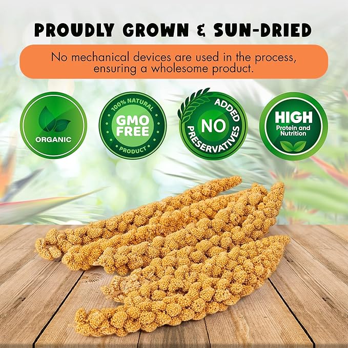 5LBS GMO-Free Sun Dried Spray Millet - Original Bird Treat Millet for Parakeets, Cockatiels, Finches & More - Non-GMO, High in Amino Acids, Easy Storage, Tasty & Healthy Bird Snacks (5 lbs)-PawvioPets