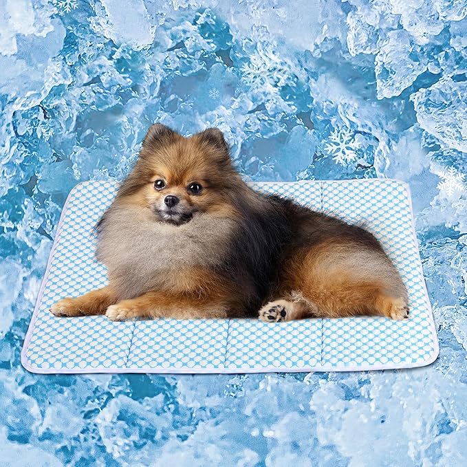 Dog Cooling Mat for Small Dogs - 24x18 Orthopedic Memory Foam Pet Pad for Summer, QMAX>0.5, Washable Premium Comfort Crate Pad for Your Furry Companion, Blue-PawvioPets