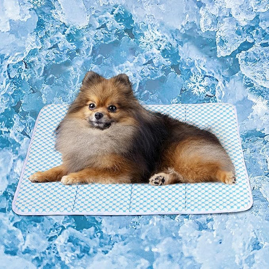Dog Cooling Mat for Small Dogs - 24x18 Orthopedic Memory Foam Pet Pad for Summer, QMAX>0.5, Washable Premium Comfort Crate Pad for Your Furry Companion, Blue-PawvioPets