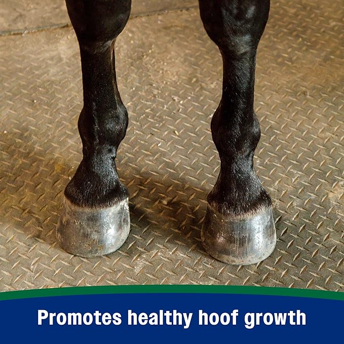 Farnam Horseshoer's Secret Pelleted Hoof Supplement for horses promotes healthy hoof growth, 22 lb., 60 day supply-PawvioPets