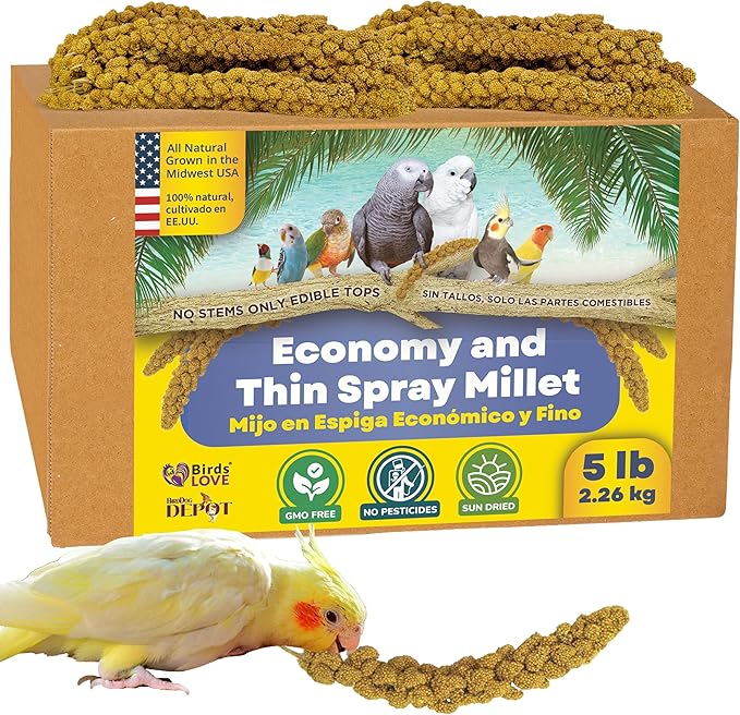 Birds LOVE Economy & Thin Special Spray Millet – 5 lb GMO-Free, No Stems (Only Edible Tops) – Healthy Treat for Cockatiels, Lovebirds, Parakeets, Finches & Canaries-PawvioPets