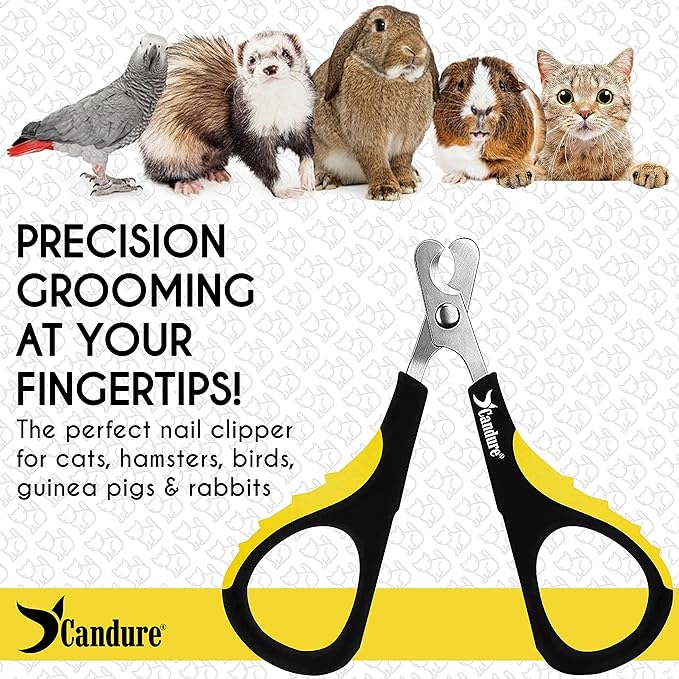 Candure Cat Nail Clipper Stainless Steel Cat Claw Trimmers for Rabbits, Guinea Pigs, Birds, Puppies, Kittens and Small Animals Pet Nail Clipper for Professional and Home Use (Yellow)-PawvioPets