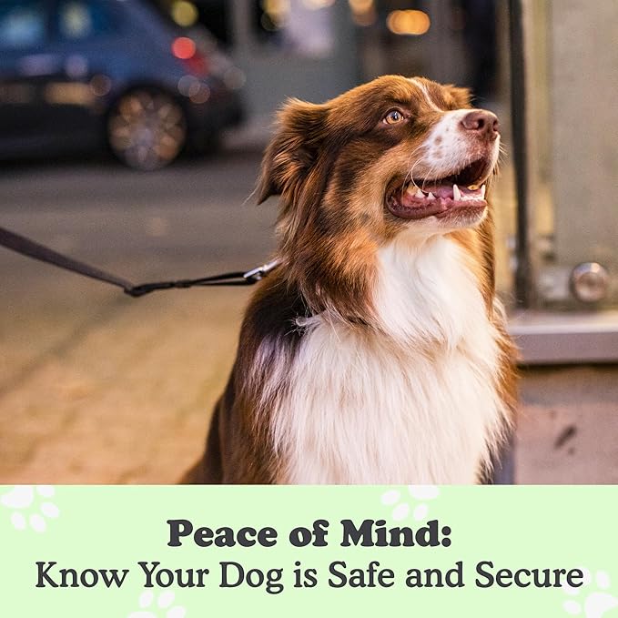 Canine Hitch- Secure Dog Leash Parking Mounted Indoor – Outdoor Wall Hook - Tie Out Stainless Steel Practical Lead Management for Home & Business, Slim Compact 6 Pack-PawvioPets