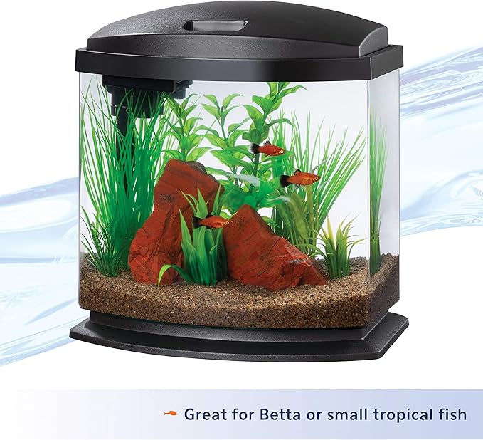 Aqueon LED MiniBow Small Aquarium Fish Tank Kit with SmartClean Technology, Black, 2.5 Gallon-PawvioPets