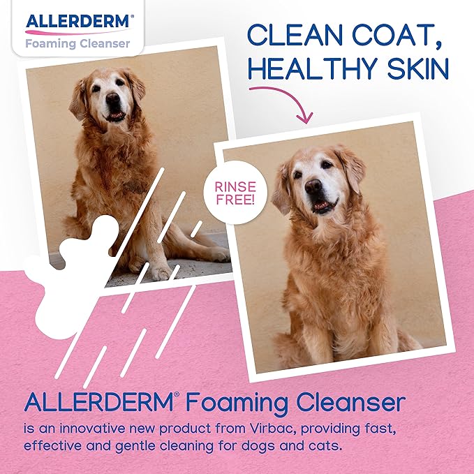 ALLERDERM Foaming Cleanser- Rinse-Free Waterless Micellar Foam for Dogs and Cats with Sensitive Skin by Virbac-PawvioPets