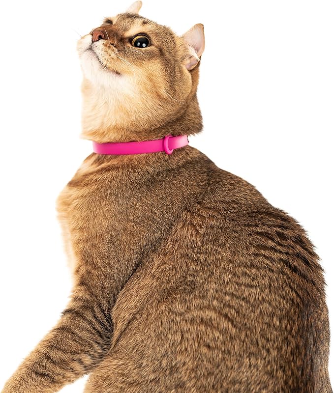 Breakaway Cat Collar - Soft, Comfortable, and Lightweight Safety Buckle Collar with Name Tag Ring for Outdoor Cats and Sensitive Skin Kittens by Nuvuq (6 ⅞" to 10 ¼", Pink)-PawvioPets