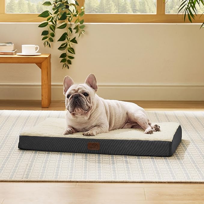 Bedsure Dog Bed Medium Size Dog - Orthopedic Flat Puppy Beds with Removable Washable Cover, Egg Crate Foam Pet Mat, Suitable for Pet Up to 35 lbs-PawvioPets