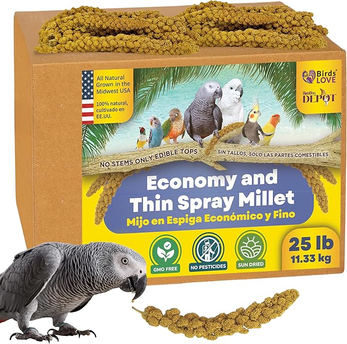 Birds LOVE Economy & Thin Special Spray Millet GMO-Free (No Stems Only Edible Tops) for Birds Cockatiel Lovebird Parakeet Finch Canary All Parrots Healthy Treat - 25lbs-PawvioPets