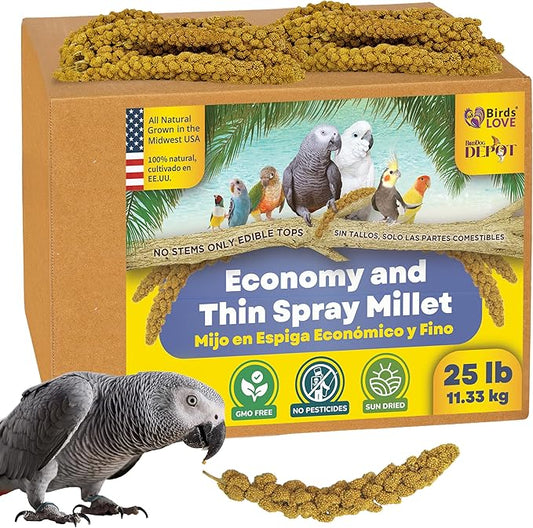 Birds LOVE Economy & Thin Special Spray Millet GMO-Free (No Stems Only Edible Tops) for Birds Cockatiel Lovebird Parakeet Finch Canary All Parrots Healthy Treat - 25lbs-PawvioPets
