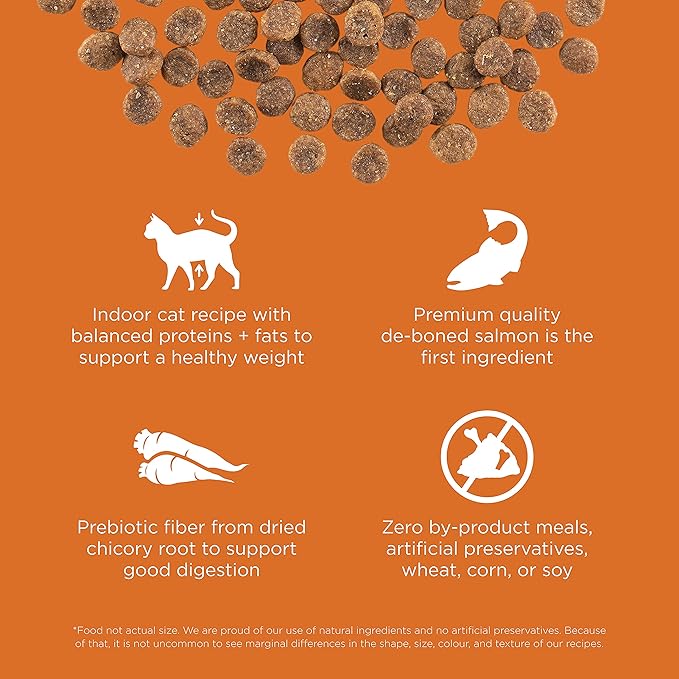 Go! Solutions Skin + Coat Care, Grain-Free Dry Cat Food, Salmon Recipe, 8 lb Bag-PawvioPets