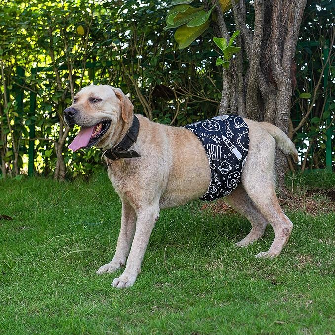 CuteBone Male Washable Dog Diapers Belly Bands 3pcs a Pack DM05L-PawvioPets