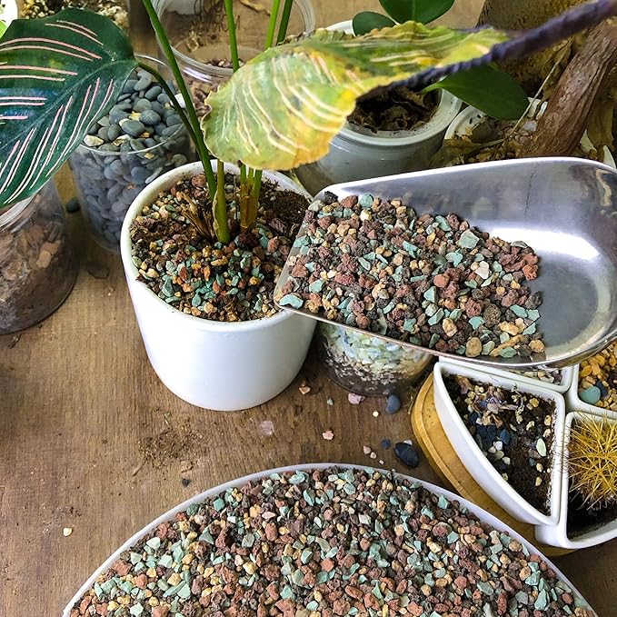 2.4lb Mix Horticultural Lava Rock Pebbles Pumice Potting Soil Amendment Succulent Cactus Bonsai Gritty Rock Decorative Gravel Plant Drainage Volcanic Rock for Aquarium Fairy Gardening Top Dressing-PawvioPets