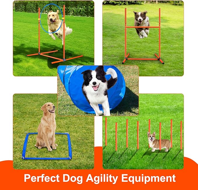 Dog Agility Training Equipment, Obstacle Agility Training Starter Kit for Doggie, Including Tunnel, 27 Weave Poles, Adjustable Hurdle, Jump Ring, Pause Box and Carrying Bag(Blue,L)-PawvioPets