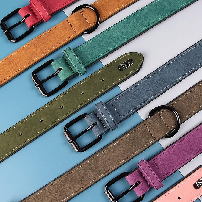 Didog Soft Padded Leather Dog Collar, Breathable Heavy Duty Dog Collar Leather with Adjustable Rust-Proof Metal Buckle for Small Medium Large Dogs, Green, M: Total length 16'', Fit 11-13''Neck-PawvioPets