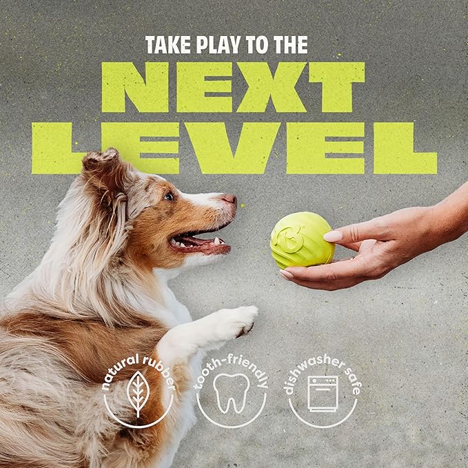 Benebone 4-Pack Rubber Ball-PawvioPets