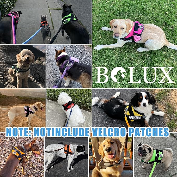 Bolux Dog Harness, No-Pull Reflective Dog Vest, Breathable Adjustable Pet Harness with Handle for Outdoor Walking - No More Pulling, Tugging or Choking-PawvioPets