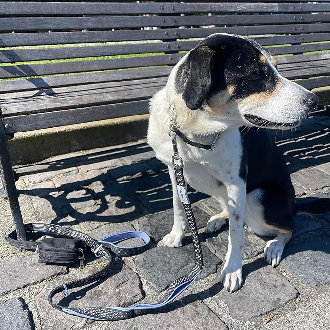 Dog Poop Bag Holder for Leashes - Dog Poop Bag Dispenser and Treat Holder with 2 Waterproof Pouches for Pet Waste Bags and Walking Accessories + 1 Free Roll - Leashrr 2.0 (Pink)-PawvioPets