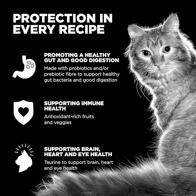 Go! Solutions Carnivore, Grain-Free, Protein Rich Dry Cat Food, Chicken, Turkey and Duck Recipe, 3 lb Bag-PawvioPets