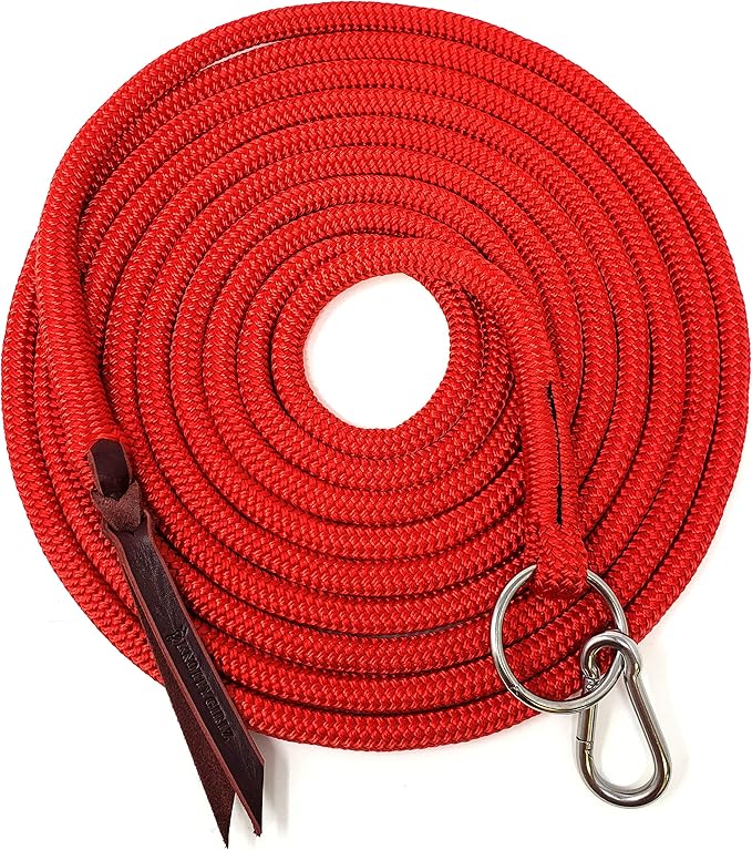 22' Long Line with SS O Ring and Carabiner (Red)-PawvioPets