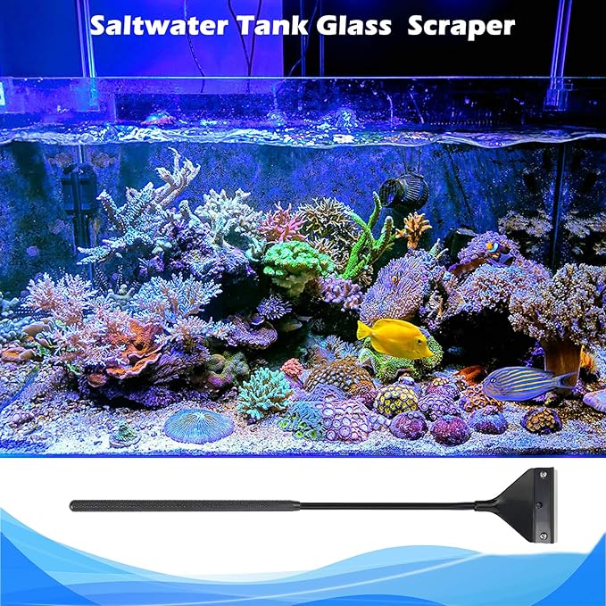 Algae Scraper for Glass Aquariums, Fish Tank Cleaner, Aquarium Algae Scrapers with 10 Stainless Steel Blades.-PawvioPets
