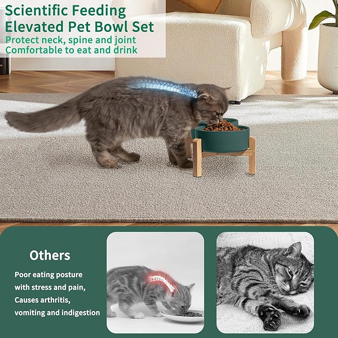 Elevated Ceramic Dog Bowl Set - Raised Feeding Bowls with Non-Slip Bamboo Stand - Small Pet Dishes for Food and Water - Ideal for Cats and Puppies - 16.23 OZ - 2 Cups - 480 ML-PawvioPets