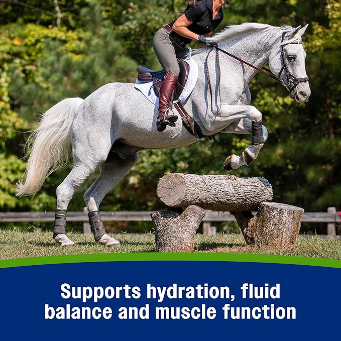 Farnam Apple Elite Electrolyte Supplement for Horses, Replaces Vital Minerals, Encourages Hydration, No Added Sugar, 7.5 lb, 40 Day Supply-PawvioPets