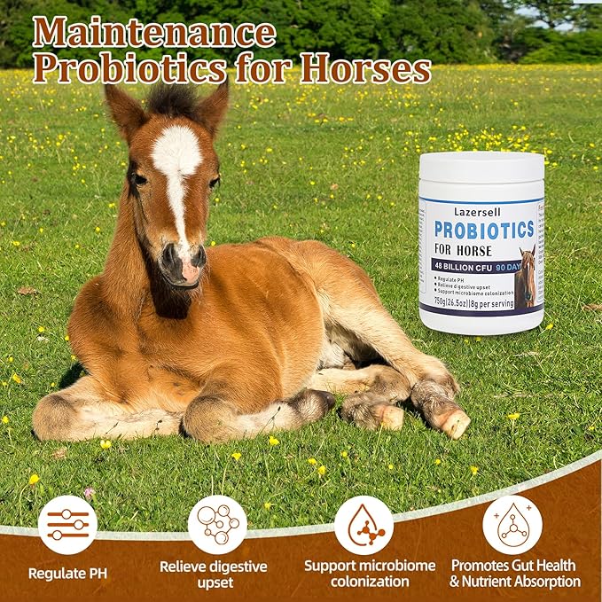 Probiotics for Horses Dietary Supplement, All-Natural Digestive System Maintenance Formula Equine Digestion Support Horse Health Supplements (90 Days)-PawvioPets