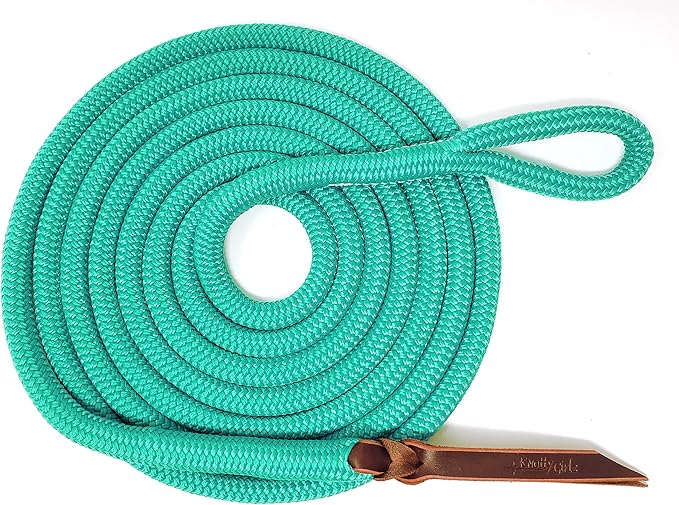 Double Braid Lead Rope with Eye Splice Loop, 12-14FT Lengths (Turquoise, 14 ft.)-PawvioPets