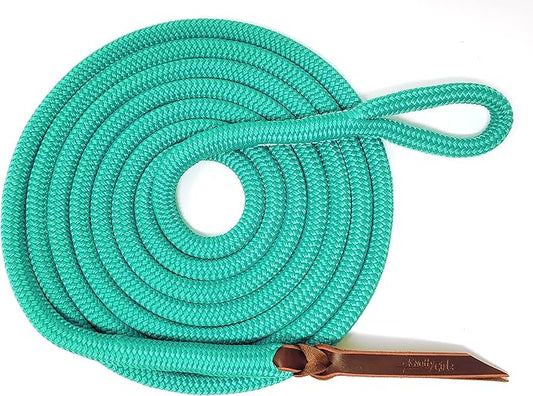 Double Braid Lead Rope with Eye Splice Loop, 12-14FT Lengths (Turquoise, 14 ft.)-PawvioPets