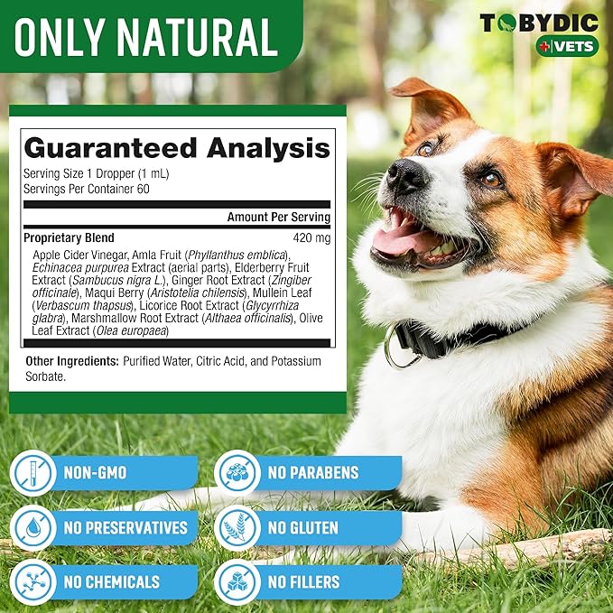 Dry & Wet Kennel Cough Natural Medicine & Relief for Dogs and Cats - Herbal Treatment Support Helps to Soothe Throat & Respiratory Trachea Comfort Supplement for Pets - Made in USA-PawvioPets