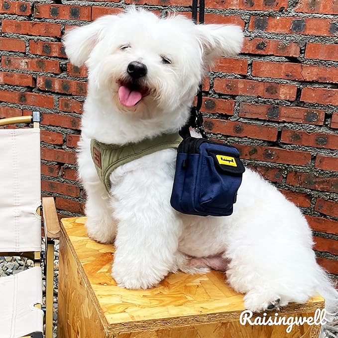 Dog Treat Pouch for Pet Walking and Training with Clicker, Poop Bags and Three Bags Design Small Fanny Zipper Pack Holder for Puppy Snack Dispenser Kit for Leash and Outdoor Use (Blue)-PawvioPets