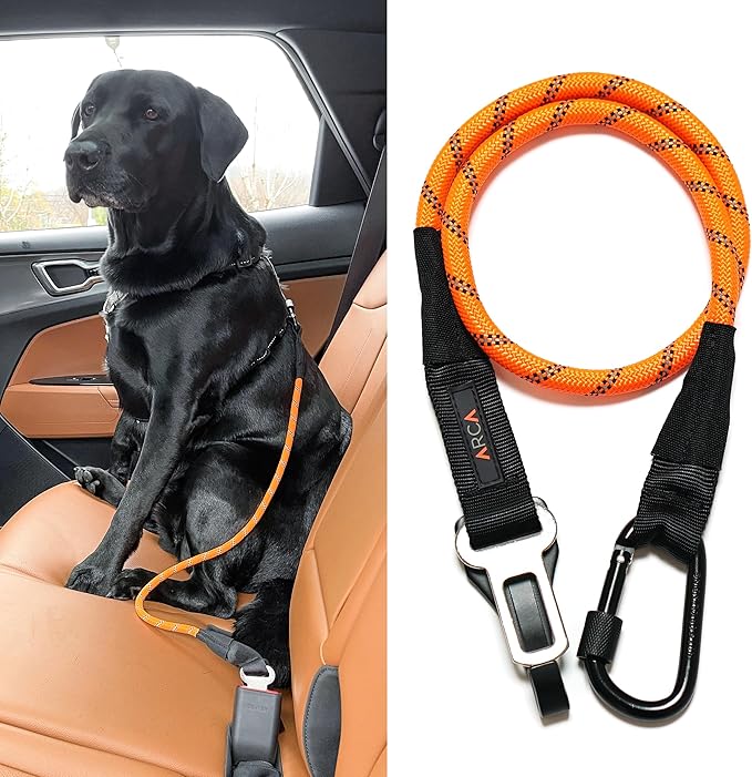 Dog Seat Belt for Car | Universal Dog Car Seatbelt | Durable Reflective Rope with Clip Hook Latch, Buckle and Carabiner- Safe and Secure Pet Safety Restraint (Orange)-PawvioPets