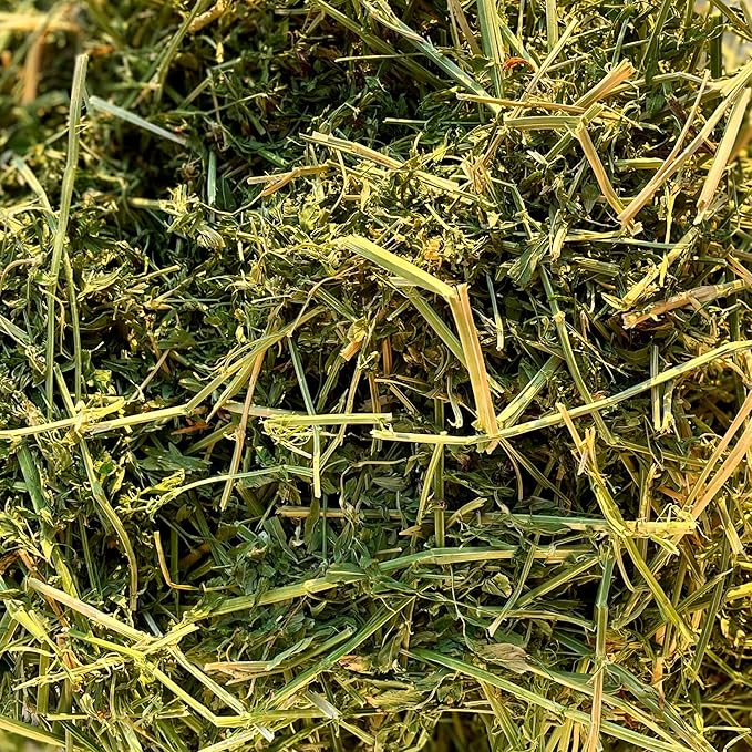 Blue Mountain Hay High-Altitude Hay - Organic Alfalfa, 10lb - High Protein, Fiber & Mineral-Rich - Soft, Leafy, High Leaf Retention - Ideal for Goats, Rabbits, Guinea Pigs & Other Small Animals-PawvioPets